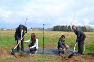 Na trajnosten način k zmanjševanju hrupa 5